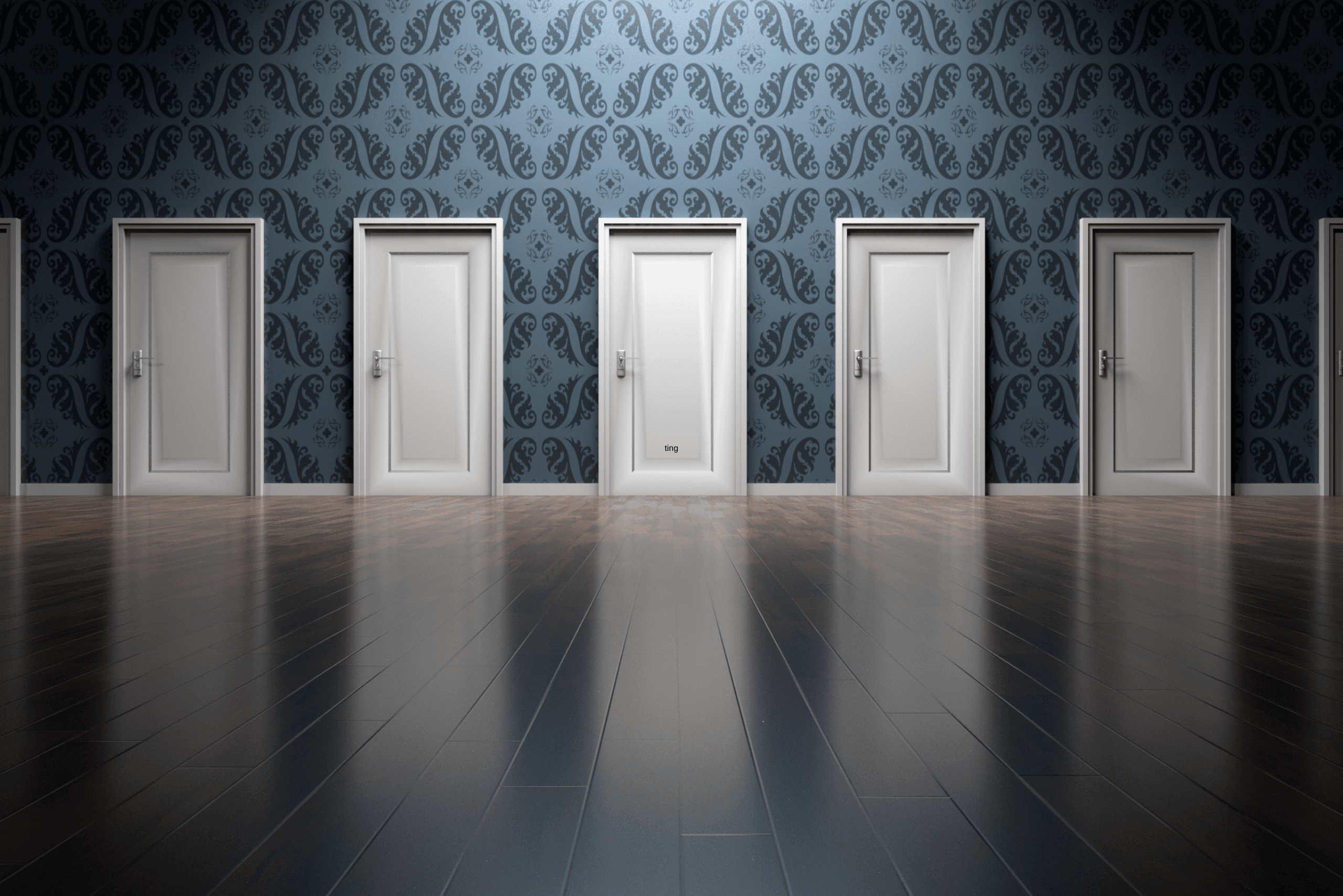Image of multiple doors representing decisions