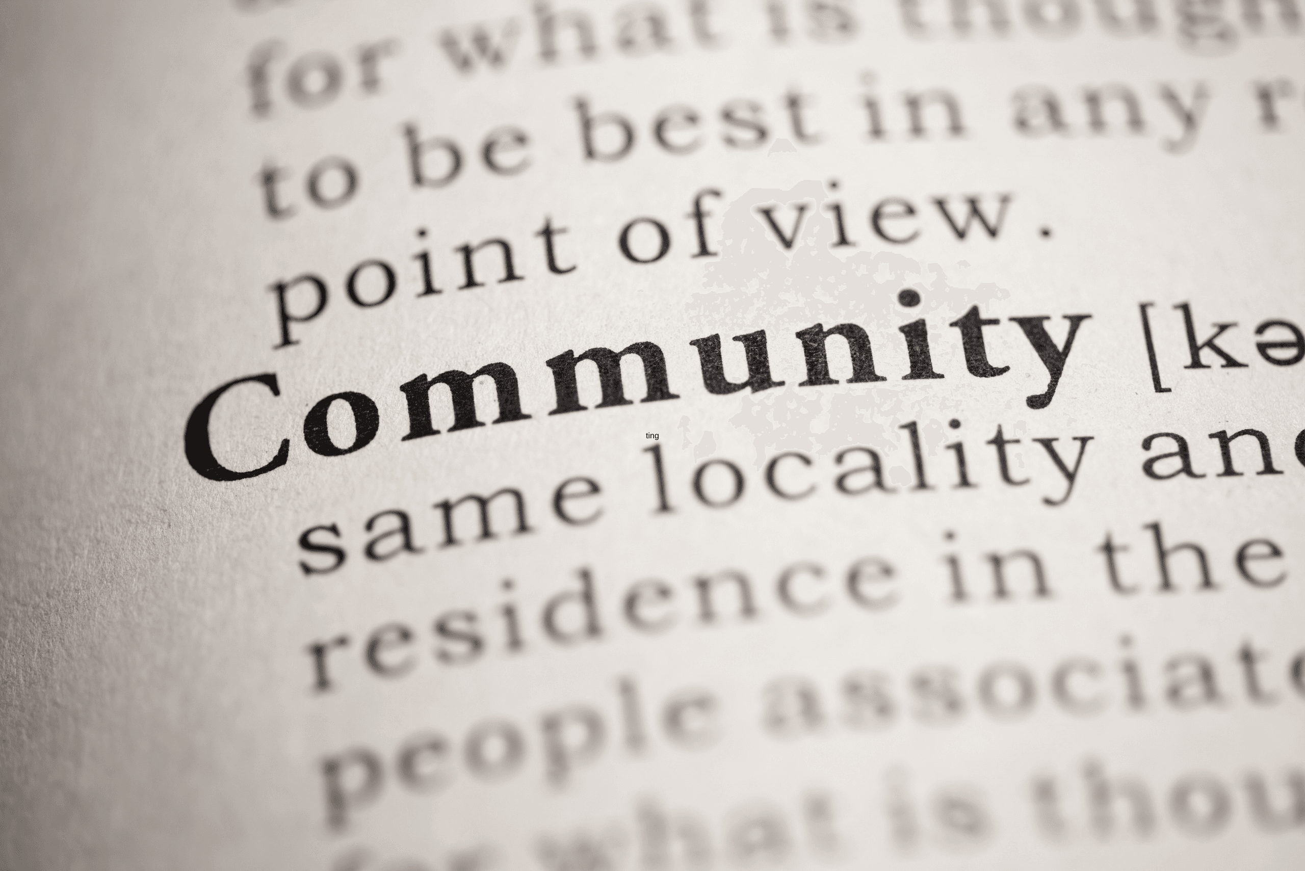 definition of community in book