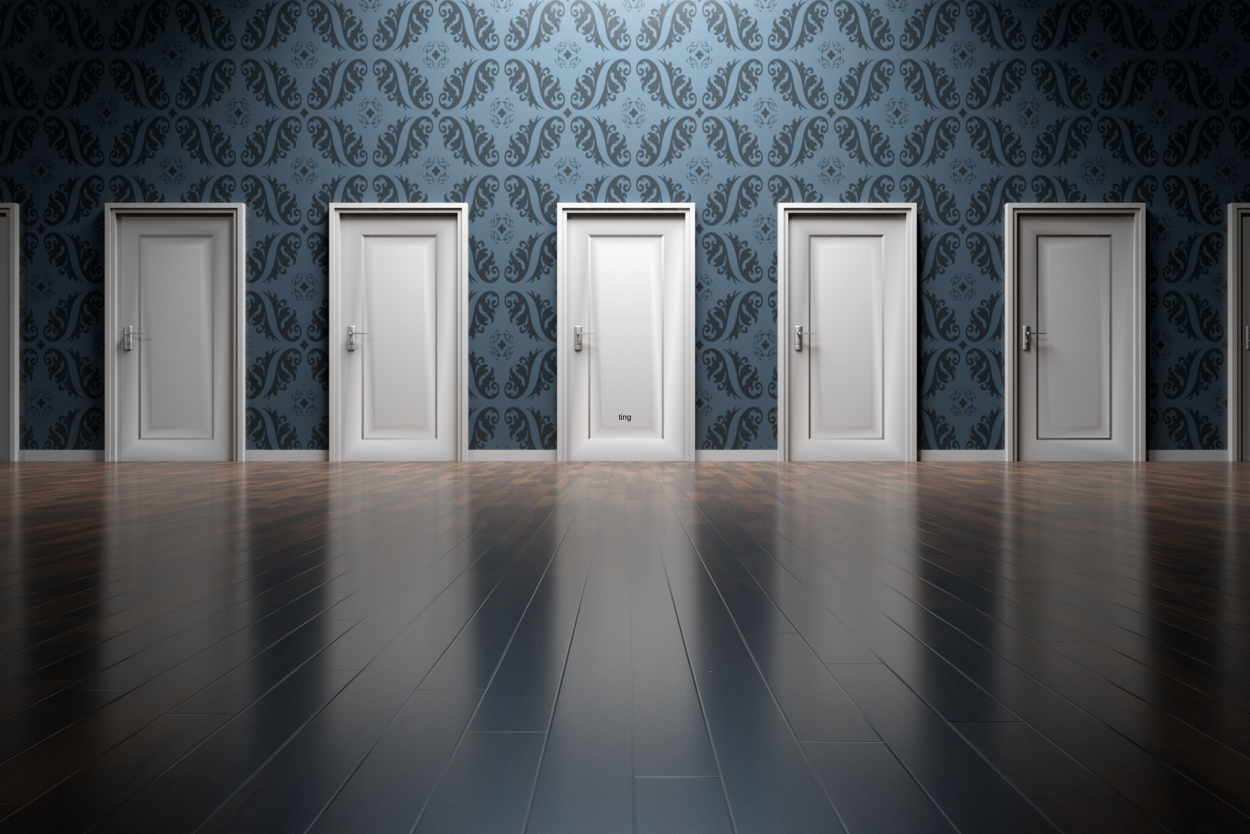 Image of multiple doors representing decisions